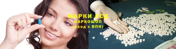 ПСИЛОЦИБИНОВЫЕ ГРИБЫ Алексеевка