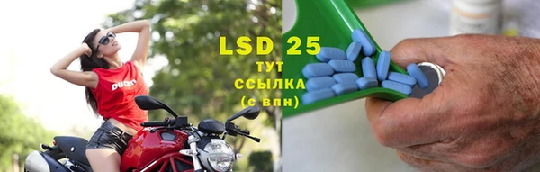 ПСИЛОЦИБИНОВЫЕ ГРИБЫ Алексеевка