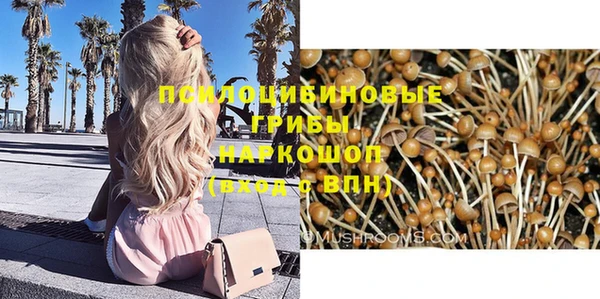 герыч Алзамай
