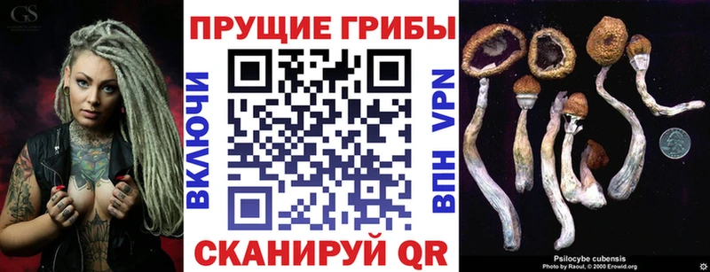 Псилоцибиновые грибы ЛСД Находка