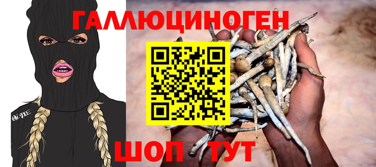 Псилоцибиновые грибы Magic Shrooms  Вход с VPN  Находка  купить наркотик  Псилоцибиновые грибы Cubensis 